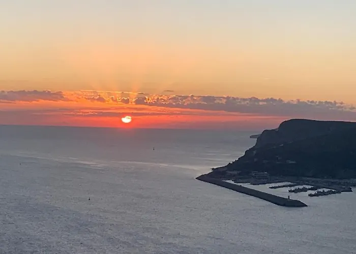 Majestic Seaview セシンブラ