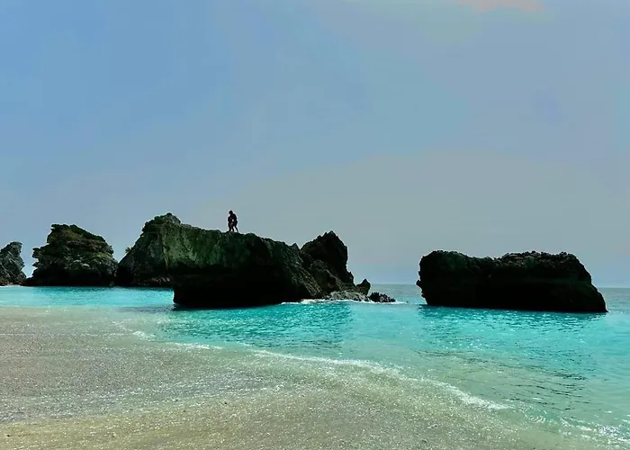 Majestic Seaview セシンブラ